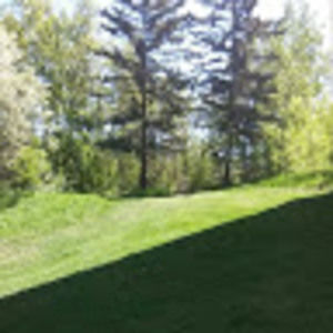 Meet your Posher, Colin